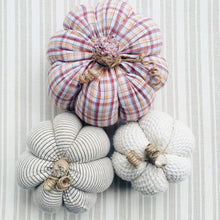 Load image into Gallery viewer, Harvest Pumpkin Bundles